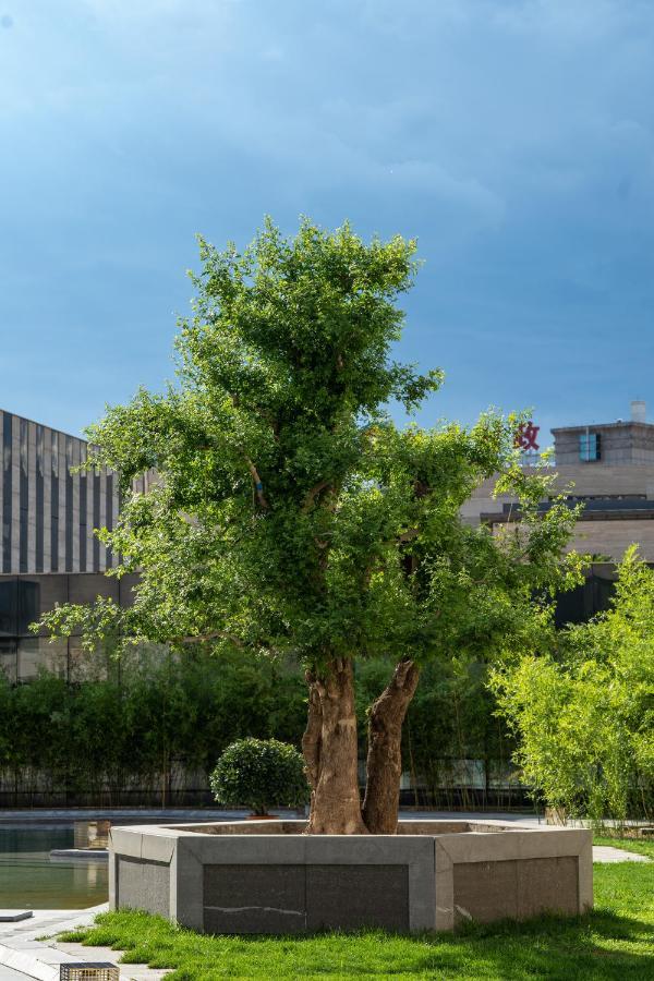 Chengde Imperial Palace Hotel エクステリア 写真